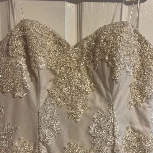 Beautiful Mermaid Lace and Tulle Wedding Dress - Picture 3 of 10